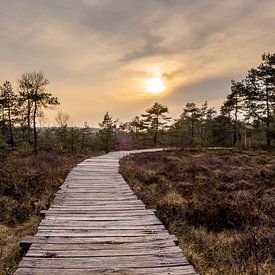 The Black Moor in the Rhön by Holger Spieker