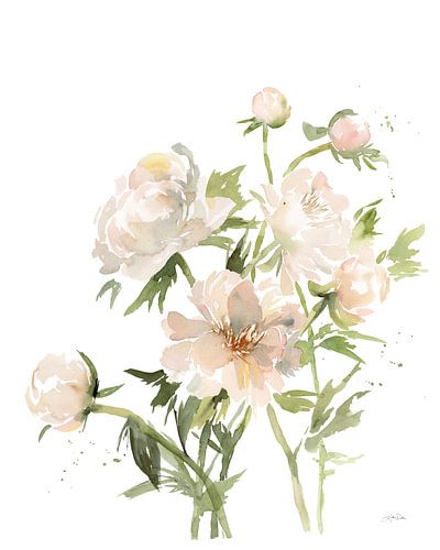 Peonies II, Katrina Pete
