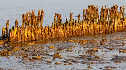 Zonsopkomst boven de Waddenzee