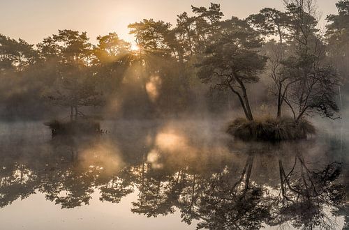 Zonsopkomst over de Oisterwijkse bossen en vennen in de winter