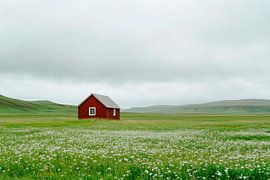 Rothaus weide van Poster Art Shop