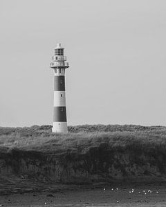 Vuurtoren in de duinen van België