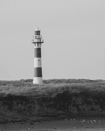 Leuchtturm in den Dünen Belgiens