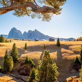 Dolomiten Seiseralm von Voss Fine Art Fotografie