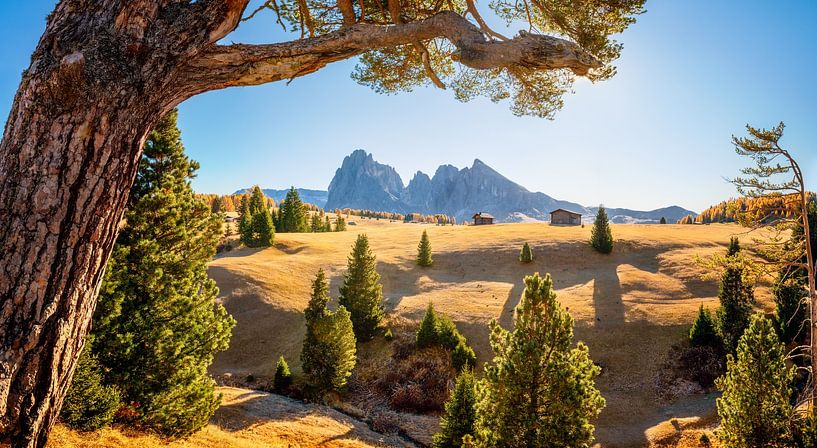Dolomites Alpe di Siusi by Voss photography