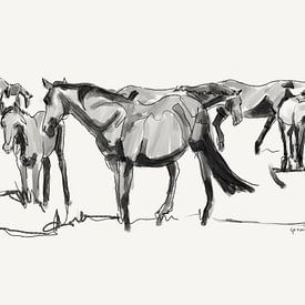 Paarden samen in de wei van Go van Kampen