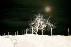 Winternacht