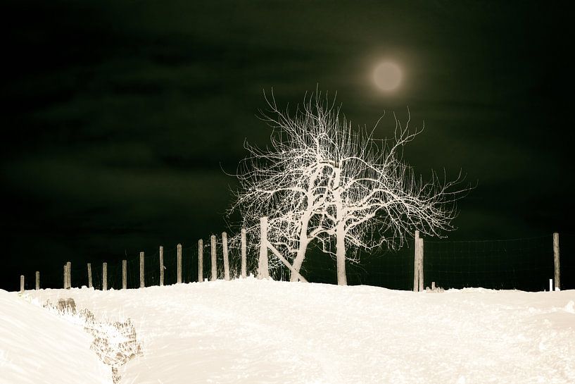  winter Night van Christine Nöhmeier