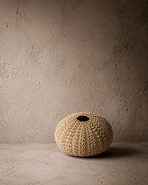 Stille Schönheit von Simone Wind