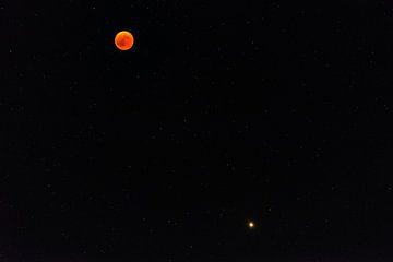 Rode Maan in Sardinië van Damien Franscoise