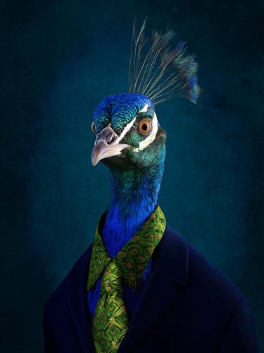 Blue peacock in a dinner jacket - surreal animal portrait with vintage char
