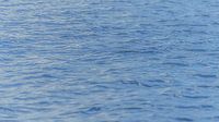 A heaving water surface