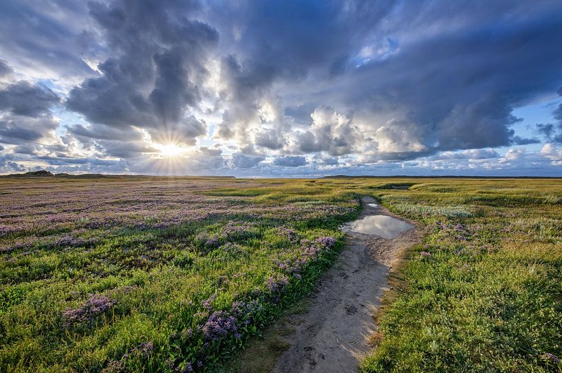 De Slufter, Texel. par Justin Sinner Pictures ( Fotograaf op Texel)