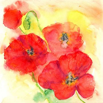 Rote Mohnblumen von Karen Kaspar
