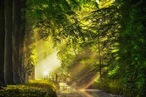 Brücke in der Sonnenflut