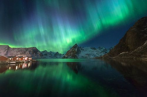 Aurores boréales à Hamnoy (Lofoten).