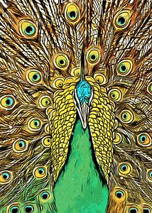 L'art du paon #peacock bird art sur JBJart Justyna Jaszke