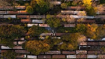 Abandoned trains among trees from the air by Ewold Kooistra