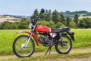 Kreidler Mustang
