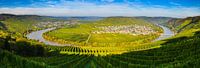 Panorama Leiwen en Trittenheim, Duitsland van Henk Meijer Photography thumbnail