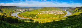 Panorama Leiwen and Trittenheim, Germany by Henk Meijer Photography