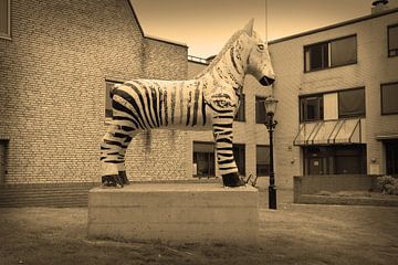 Alkmaar North Holland Town centre Sepia Netherlands