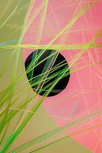 Eklipse in Fluor