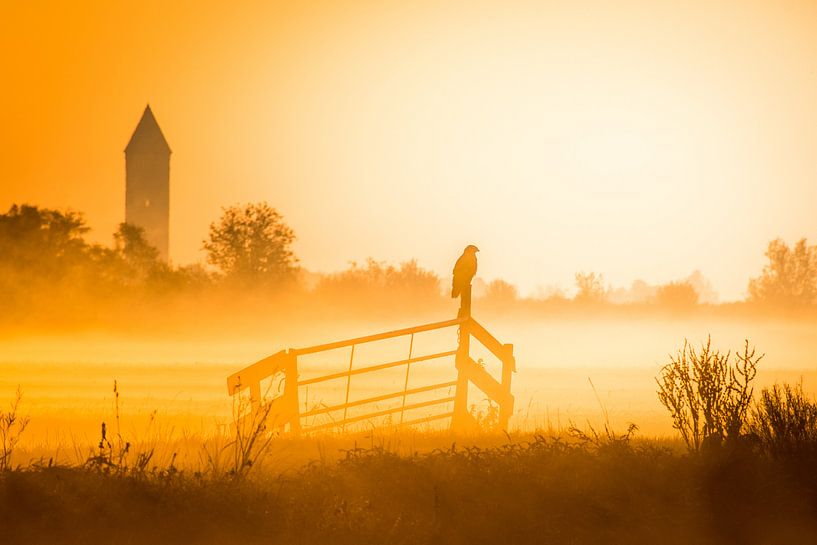 Lever de soleil avec une buse dans le brouillard par Wilco Bos