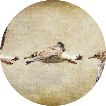 Vliegende juveniele kokmeeuwen (kunst, schilderij) van Art by Jeronimo
