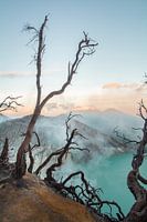 Volcano Ion
