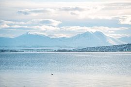 Tromso in winter by Leo Schindzielorz