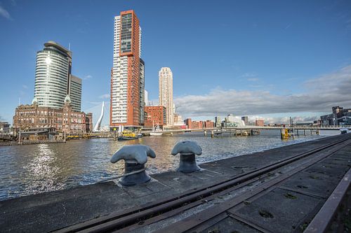 Kop van Zuid met zich op de Rijnhaven Rotterdam