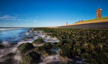 Huisduinen van Martin Podt