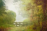 In front of the fence