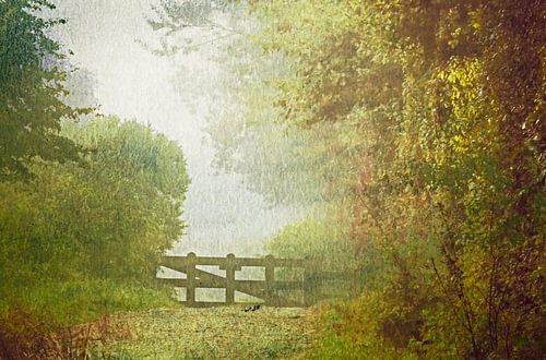 In front of the fence