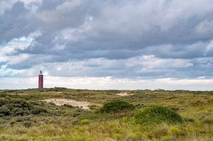 Leuchtturm Westhoofd von Ouddorp in den Dünen von Goeree