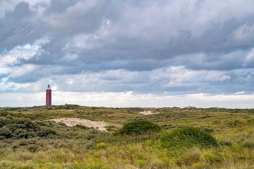 Vuurtoren Westhoofd van Ouddorp in de duinen van Goeree