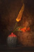 Bloemen droom