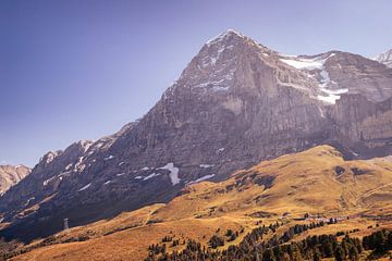 Eiger Nordwand von Ronne Vinkx