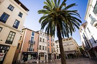 De prachtige stad Nimes in Zuid-Frankrijk