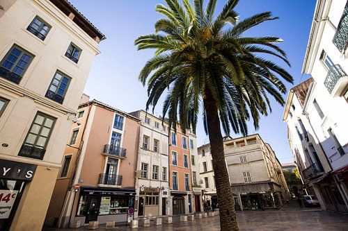 De prachtige stad Nimes in Zuid-Frankrijk