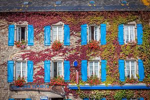 Historisches Steinhaus mit wildem Wein in Saint-Thégonnec, Bretagne