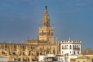 Kathedrale Sevilla