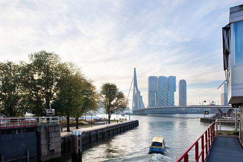 Un bateau-taxi le matin avec le pont Erasmus en arrière-plan