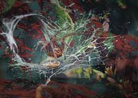 Autumn impressions