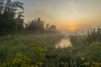 a foggy sunrise
