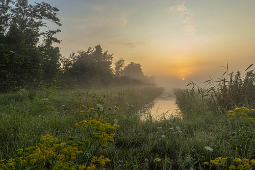 a foggy sunrise