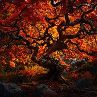 De Dans van de Herfst