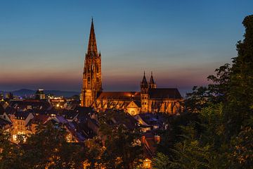 De Dom van Freiburg bij nacht