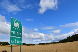 A country road in summer by Claude Laprise